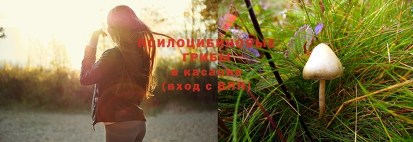 каннабис Баксан