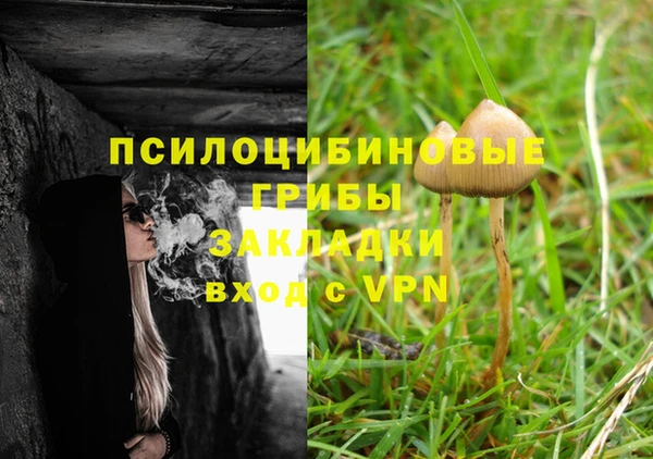 каннабис Баксан