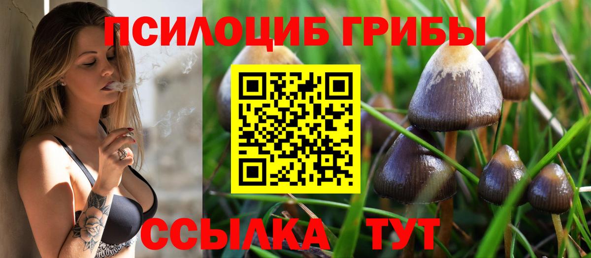 Псилоцибиновые грибы мухоморы Коммунар