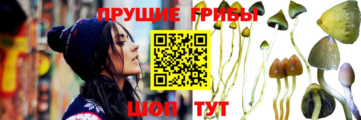 Галлюциногенные грибы мухоморы  Вход с VPN  Псилоцибиновые грибы MAGIC MUSHROOMS  Коммунар 